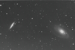 M 81 ed M 82