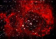 Rosetta.jpg (4903 byte)